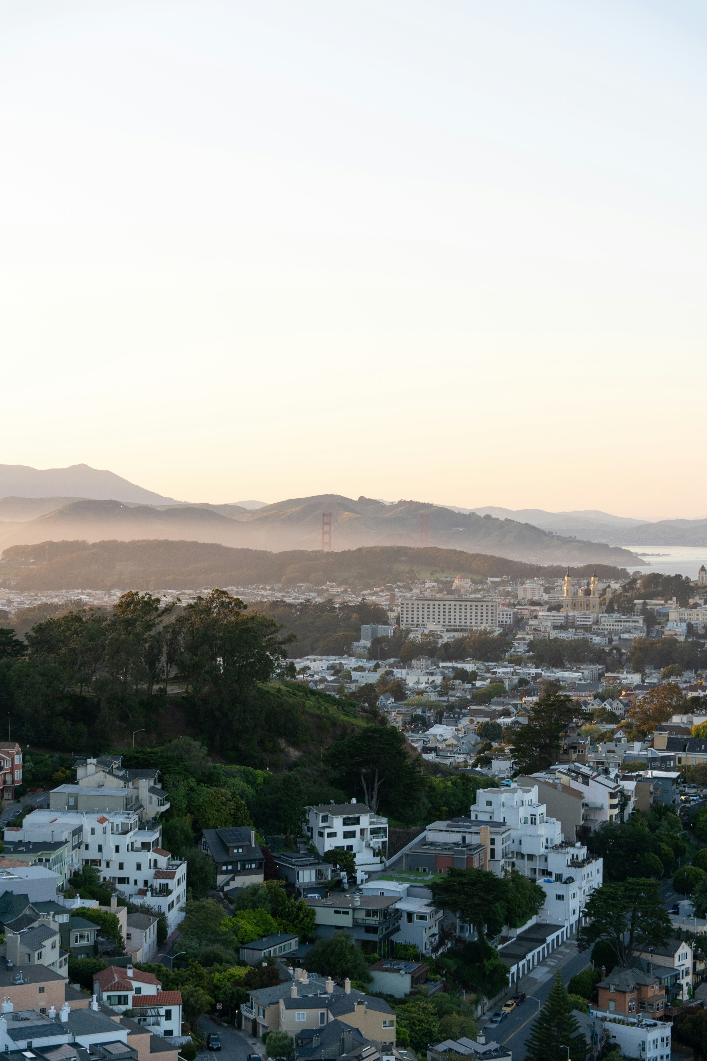 Bay Area Peninsula Rug Community