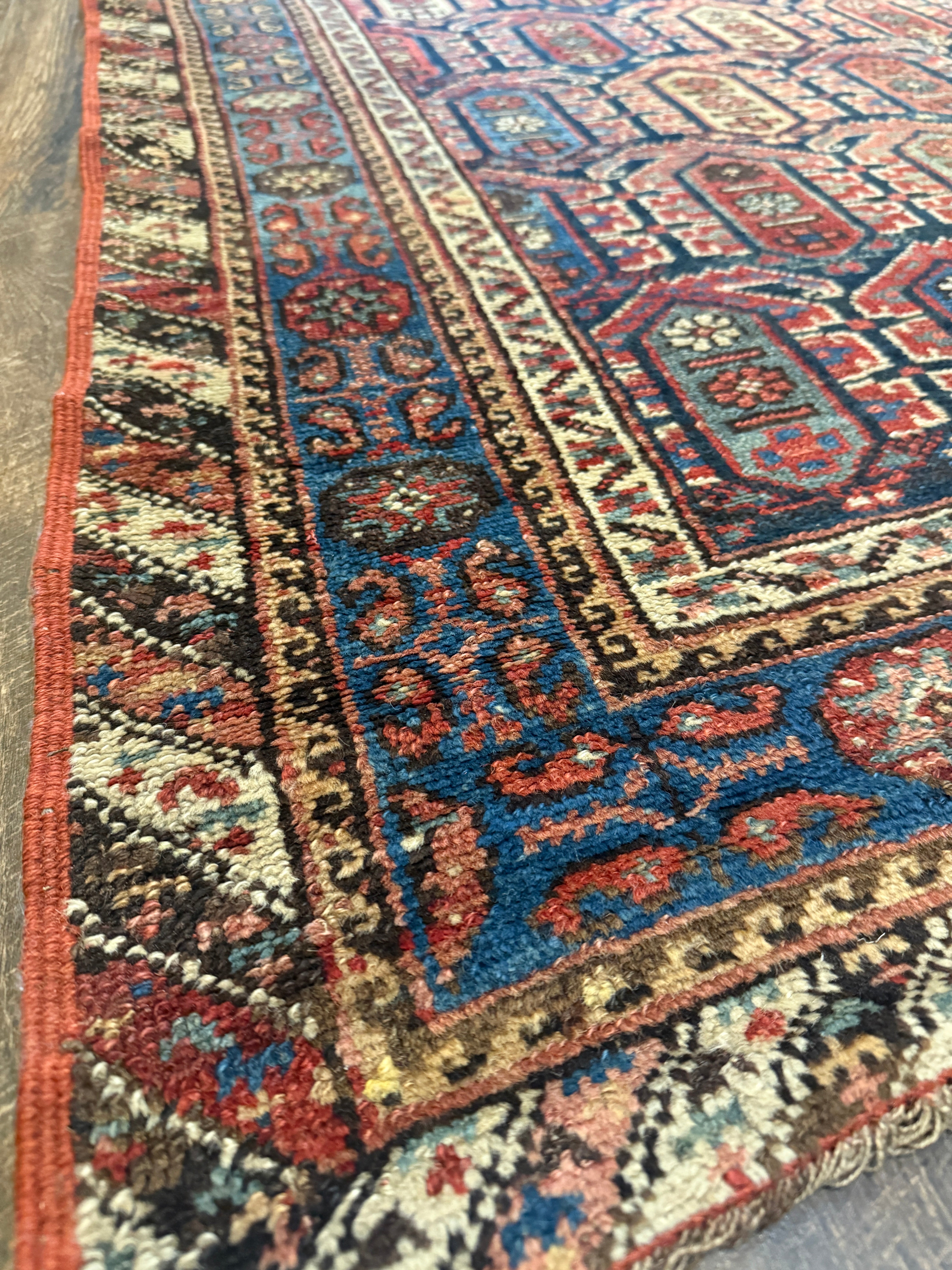 4' x 9'9" Shiraz